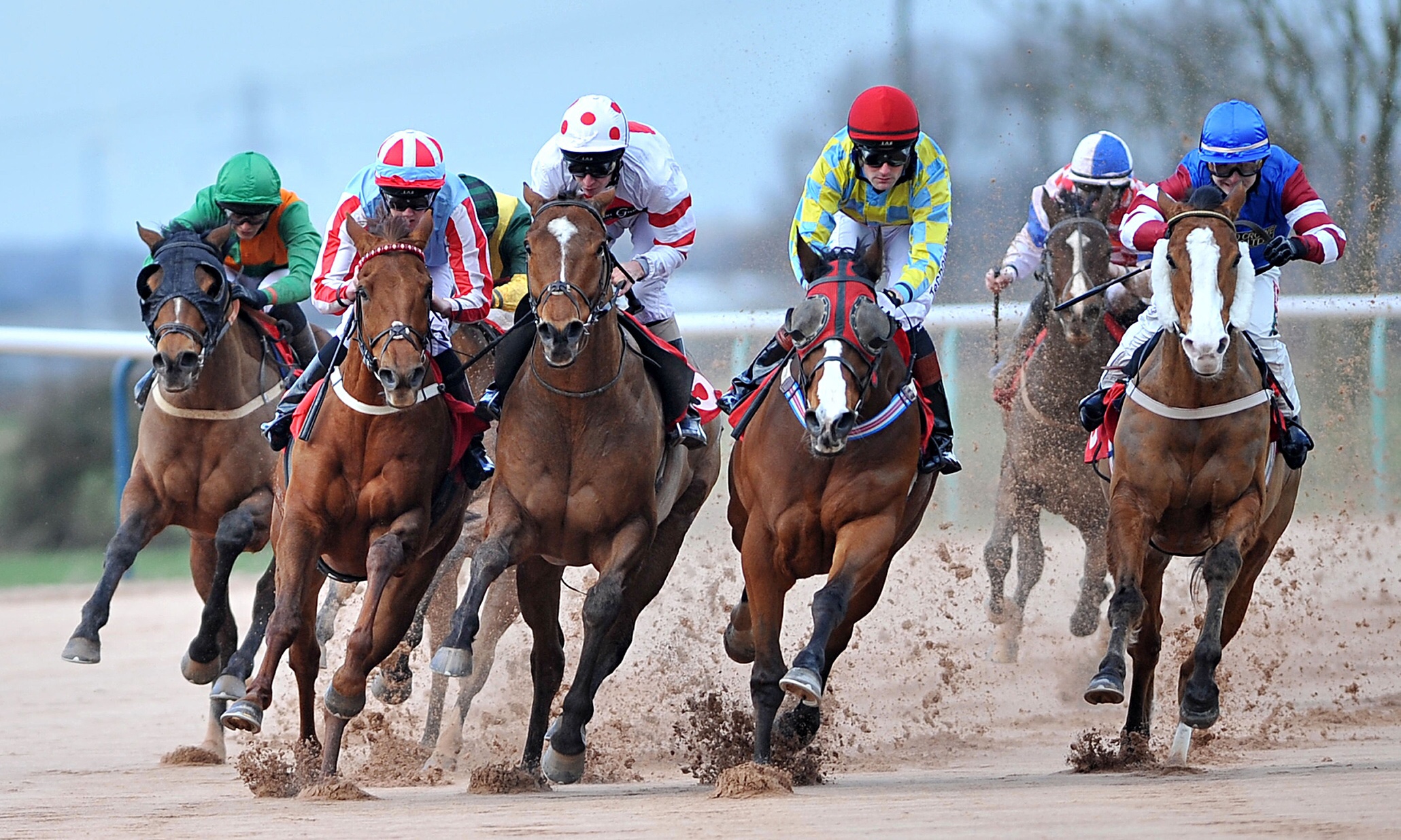 Horse Racing Southwell Racecourse The Roosevelt Review